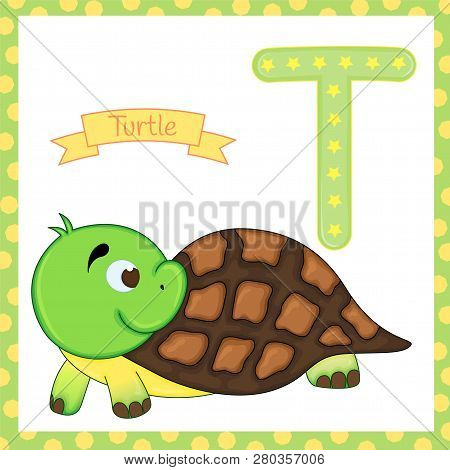 Alphabet Of Animals. T For Turtle. Vector Illustration Of Happy Turtle. Cute Cartoon Isolated