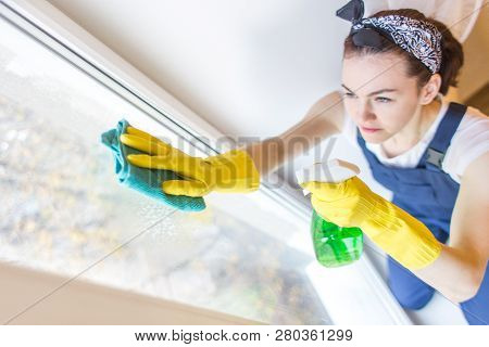 Cleaning Service With Professional Equipment During Work. Professiona Carpet Dry Cleaning, Sofa Dry 