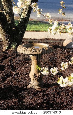 Birdbath Sitting In A Mulch Filled Garden On A Sunny Spring Day.