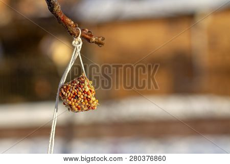 Winter Suspended Bird Feeder: Pressed Cereal Grains - Feeding Birds. The Concept Of Conservation Of 