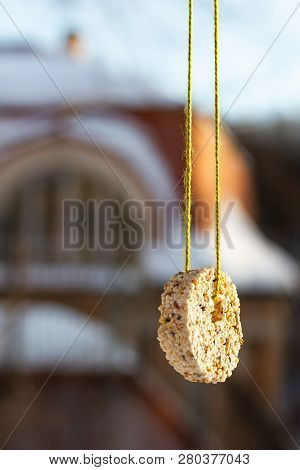 Winter Suspended Bird Feeder: Pressed Cereal Grains - Feeding Birds. The Concept Of Conservation Of 