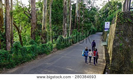 Nuwara Eliya, Sri Lanka - Dec 16, 2018. Rural Road In Nuwara Eliya, Sri Lanka. Nuwara Eliya Is The H