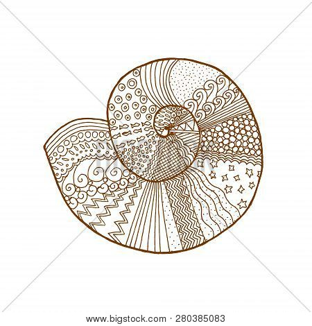 Decorative Brown Line Shell In Zentangle Style
