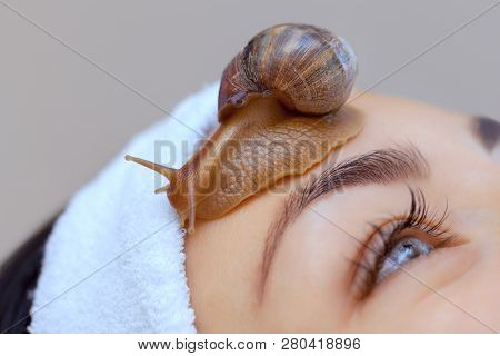 Cosmetological Procedure. Beautiful Young Woman With A Snail Ahatin On Her Face In A Beauty Salon.