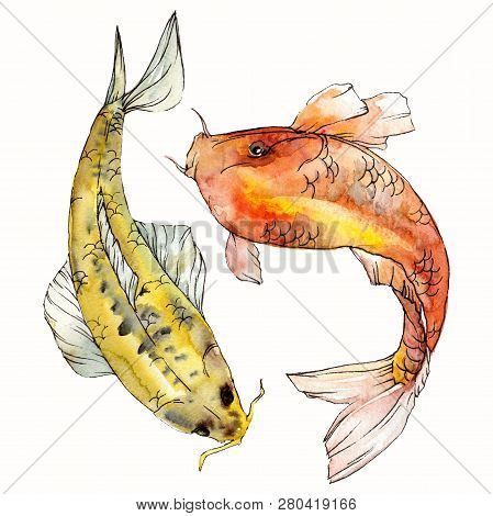 Watercolor Aquatic Underwater Colorful Tropical Fish Set. Red Sea And Exotic Fishes Inside: Goldfish