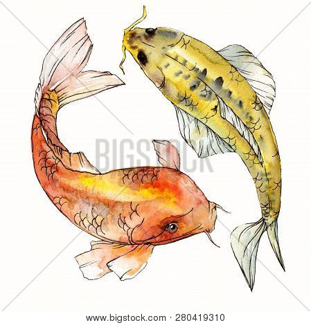Watercolor Aquatic Underwater Colorful Tropical Fish Set. Red Sea And Exotic Fishes Inside: Goldfish