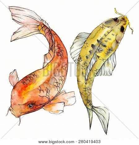Watercolor Aquatic Underwater Colorful Tropical Fish Set. Red Sea And Exotic Fishes Inside: Goldfish