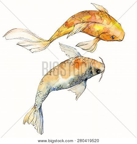 Watercolor Aquatic Underwater Colorful Tropical Fish Set. Red Sea And Exotic Fishes Inside: Goldfish
