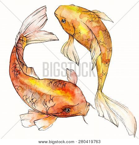Watercolor Aquatic Underwater Colorful Tropical Fish Set. Red Sea And Exotic Fishes Inside: Goldfish