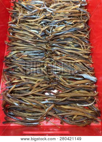 Smoked Eelpout Fish In The Fish Market