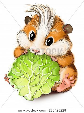 Funny Cartoon. Illustration. Weggy Hamster Eats A Salad.