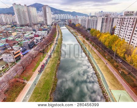 Autumn Of Oncheoncheon Citizen Park, Busan, South Korea