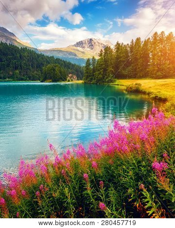Fantastic view of the azure pond Champfer. Picturesque scene. Location: resort Silvaplana village, district of Maloja in the Swiss canton of Graubunden, Alps. Europe. Artistic picture. Beauty world.