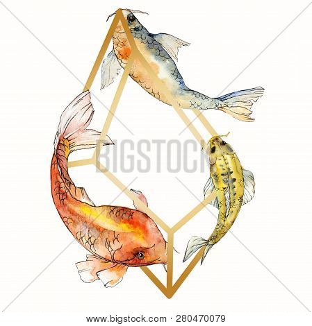 Watercolor Aquatic Underwater Tropical Fish Set. Red Sea And Exotic Fishes Inside: Goldfish. Frame B