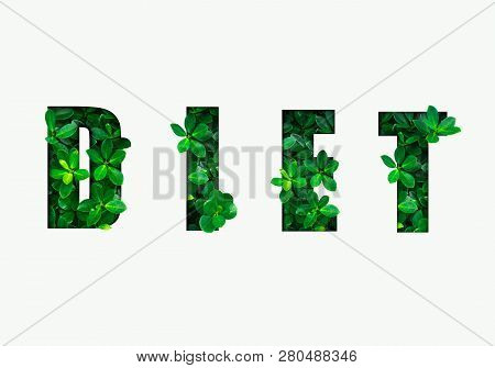 Word Diet Is Made From Green Leaves. Concept Of Diet, Cleansing The Body, Healthy Eating, Ditital De