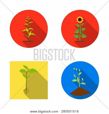 Vector Design Of Plant And Bean Logo. Set Of Plant And Process Vector Icon For Stock.