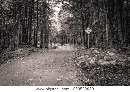 Dead End Road. Remote Dirt Road With Dead End Posted As A Road Sign And A Handmade Wooden Sign.