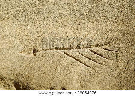 Indiánské Petroglyfy