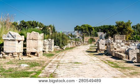 Ruins Of The Al-bass Tyre Necropolis. Unesco World Heritage In Lebanon