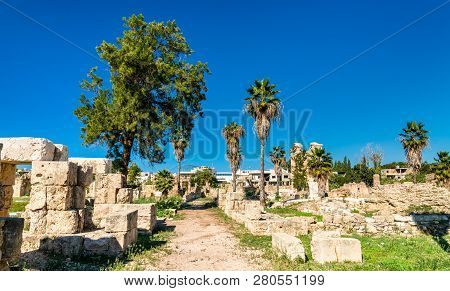 Ruins Of The Al-bass Tyre Necropolis. Unesco World Heritage In Lebanon