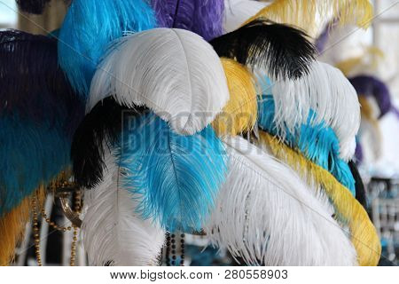 A Stock Of Feathers Displayed In A Colorful Design