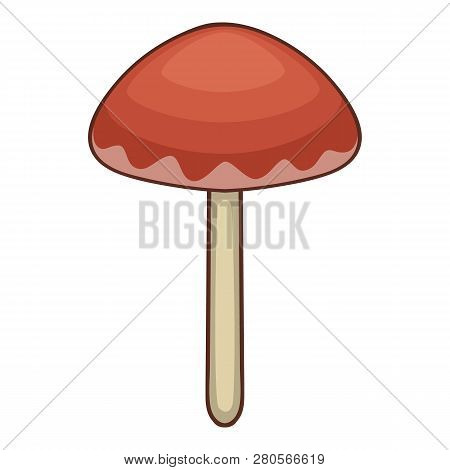 Suillus Mushroom Icon. Cartoon Illustration Of Suillus Mushroom Icon For Web Design