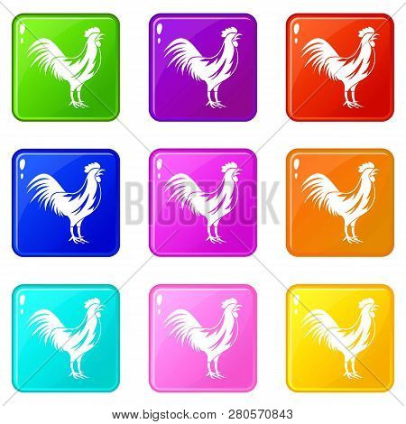 Gallic Rooster Icons Of 9 Color Set Isolated Illustration
