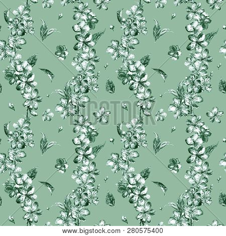Hand Drawn Charcoal Pencil Illustration Flowers Of The Light Green Pulm Blossoms And Chaotically Arr