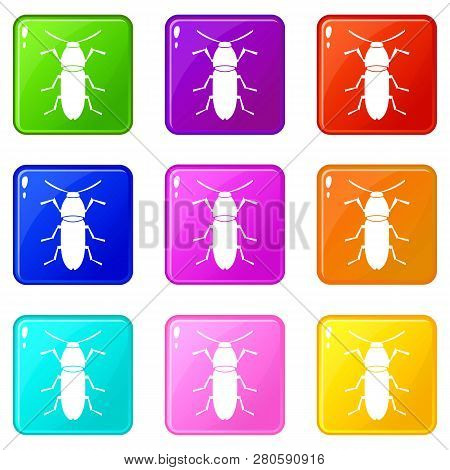 Cereal Leaf Beetle Icons Of 9 Color Set Isolated Illustration