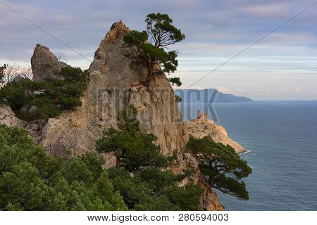 Crimean Wonderful Landscape With Scenic Views Of Juniper Grove And The Rocky Cape In Black Sea. Novy