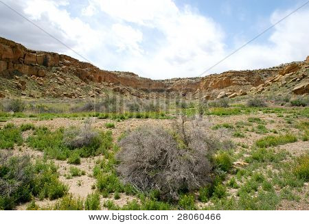 คาซา Rinconada