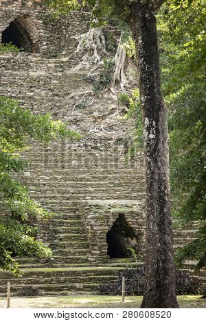 Detail view of the overgrown Mayan Temple of Dzibanche in Quintana Roo, Mexico.