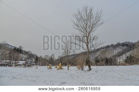 Winter Scenery Of Mohe County, China
