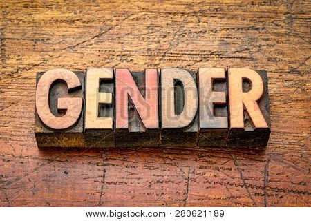 gender - word abstract in vintage letterpress wood type against grained wooden background