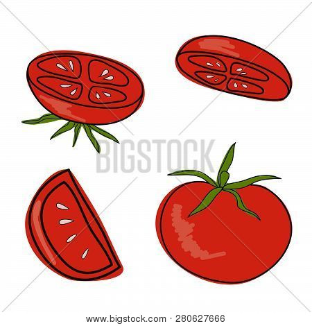 Red Tomato Set With Green Leaves And White Seeds. Vector Image On White Background With Black Contou