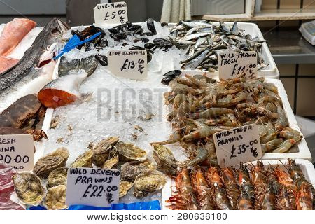 Clamms And Crustaceans For Sale At A Market