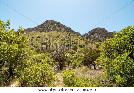 Falaises rocheuses de Tejas Canyon
