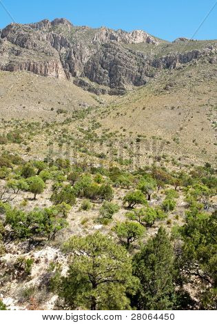 Falaises de Tejas Canyon