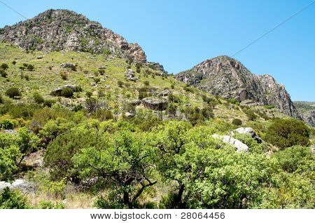 Collines rocheuses de Tejas Canyon