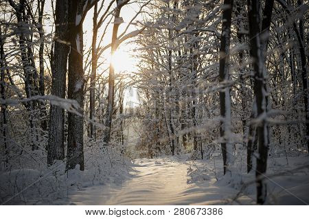 Road In The Middle Of Winter Forest With Snow