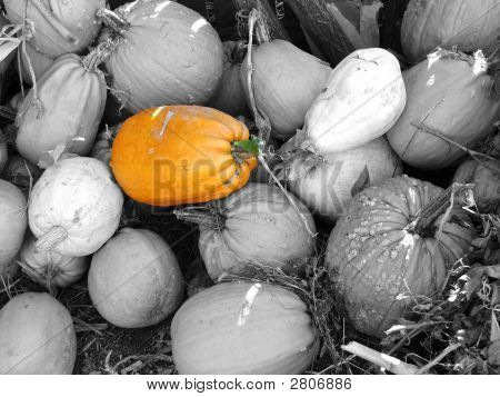 Aglomerace žluté a oranžové dýně