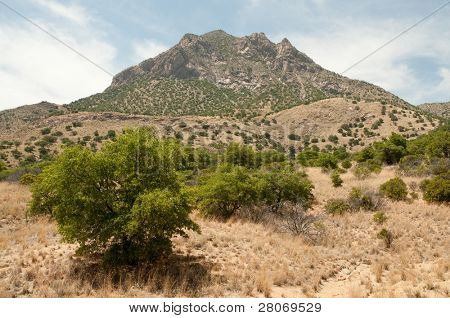 Coronado National Memorial mountains where Francisco VÃÂ¡squez de Coronado entered the United States