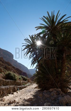 Beautiful Desert Landscape Of Todra Gorge In High Atlas In Morocco