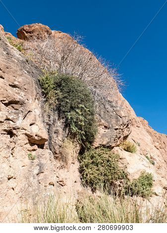 Beautiful Desert Landscape Of Todra Gorge In High Atlas In Morocco