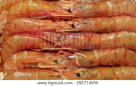 Natural Background Of Large Sea Shrimp, Seafood.