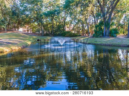 A Fountain In A Calm, Serence, Green Lake In An Oak Tree Forest