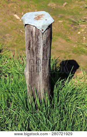 Wooden Pole Used For Temporary Sitting With Metal Cap On Top Nailed With Rusted Nails Surrounded Wit