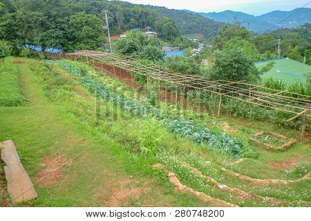 Beautiful Landscape View On Monjam Mountain Chianmai City Thailand