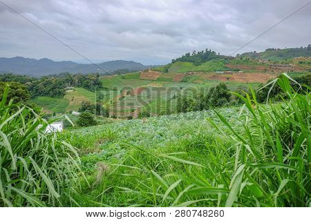 Beautiful Landscape View On Monjam Mountain Chianmai City Thailand