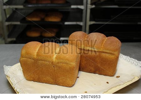 Bread in bakery